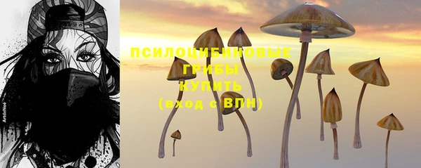 твердый Аркадак