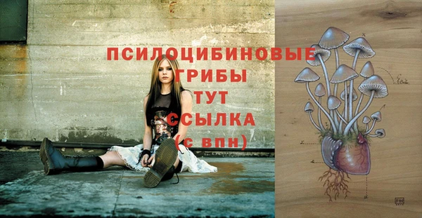 твердый Аркадак
